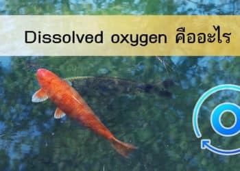dissolved oxygen คืออะไร