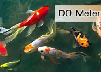 DO meter คือ