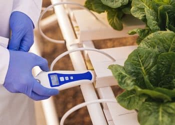 EC meter hydroponics