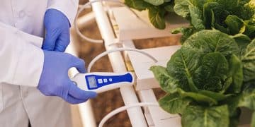 EC meter hydroponics