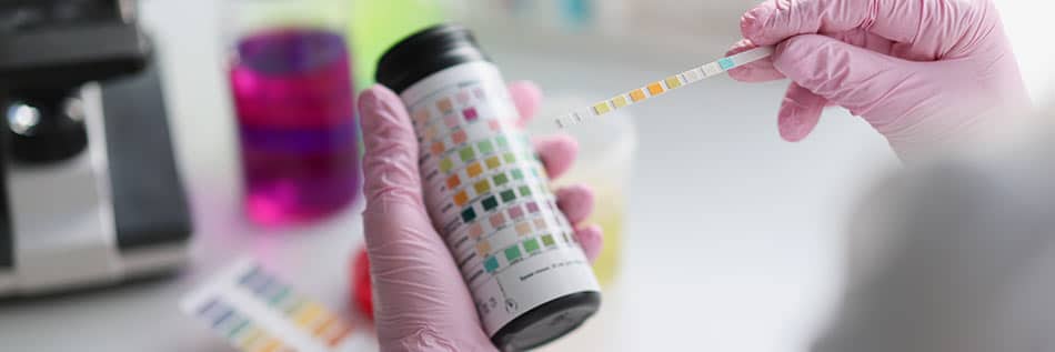 litmus-test-paper-analysis