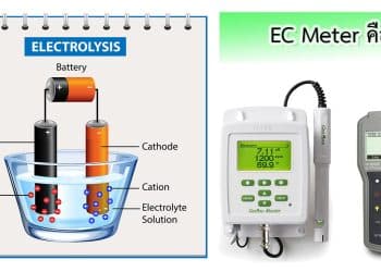EC meter คือ