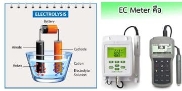 EC meter คือ