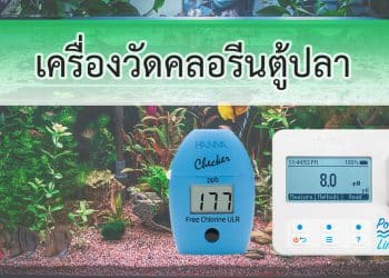 เครื่องวัดคลอรีนตู้ปลา