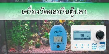 เครื่องวัดคลอรีนตู้ปลา