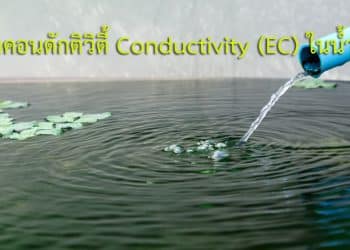 Conductivity คือ
