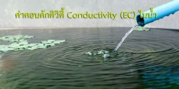 Conductivity คือ