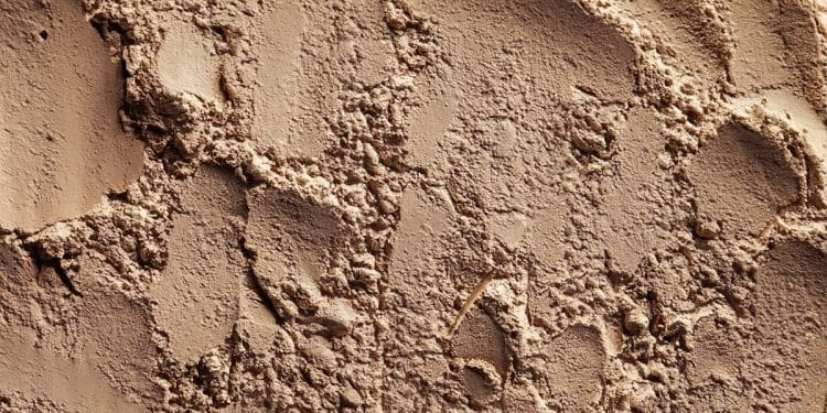 ดินเหนียว (Clay soil) : คุณสมบัติ การจัดการ และแนวทางปรับปรุงดิน