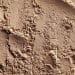 ดินเหนียว (Clay soil) : คุณสมบัติ การจัดการ และแนวทางปรับปรุงดิน