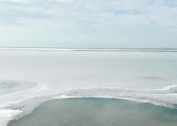 Salinity คือ