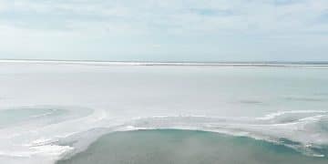 Salinity คือ